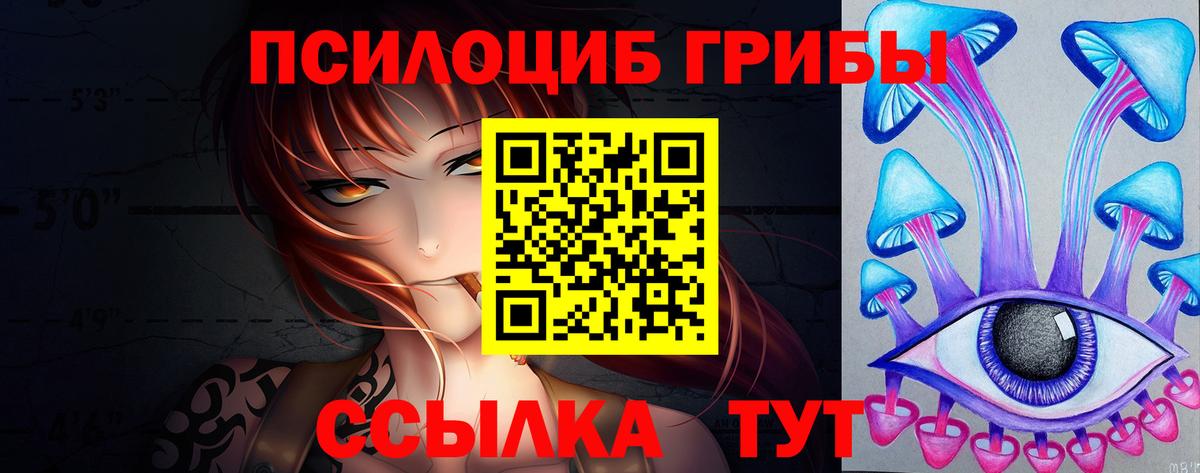 Псилоцибиновые грибы Cubensis Лыткарино